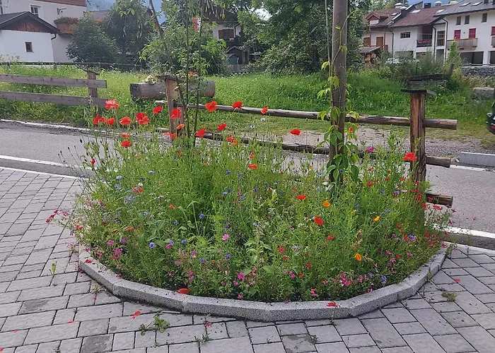 Schattseiterhof