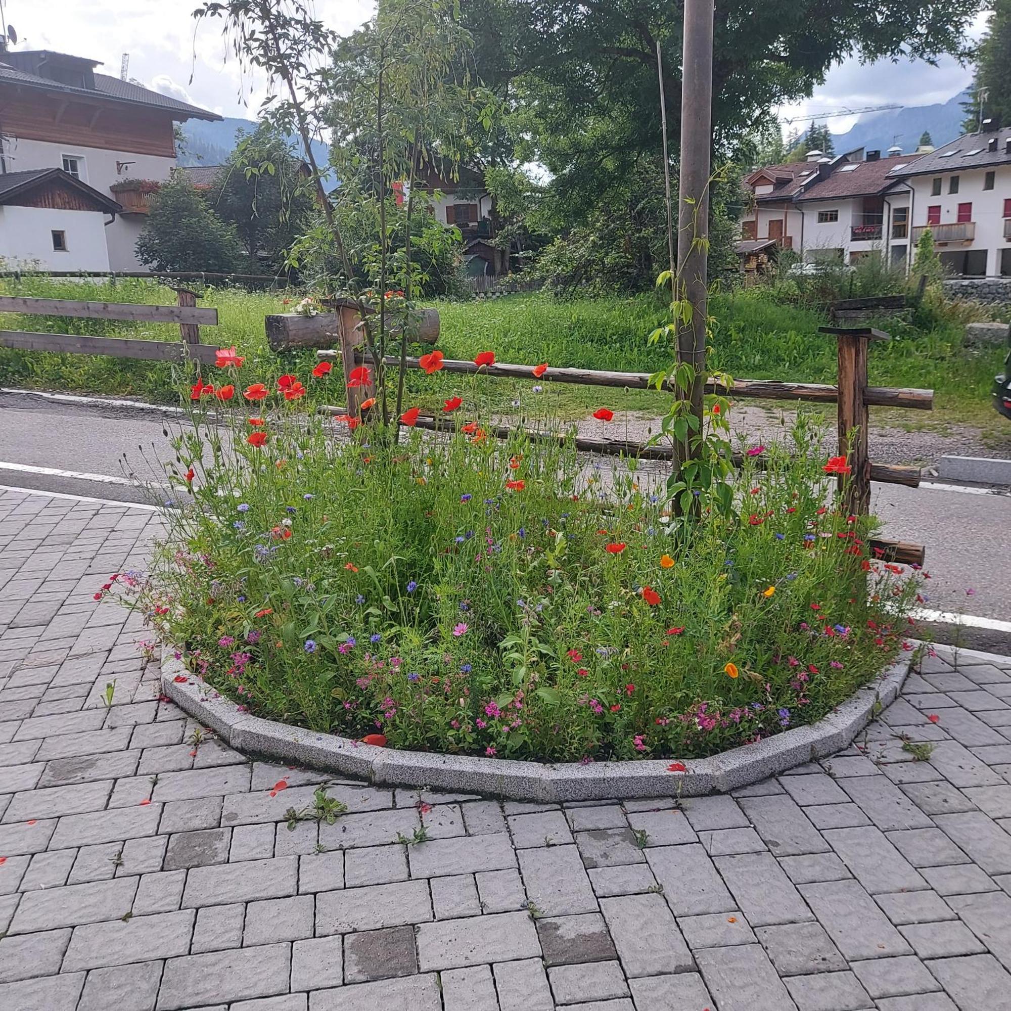 Schattseiterhof Apartamento Sexten